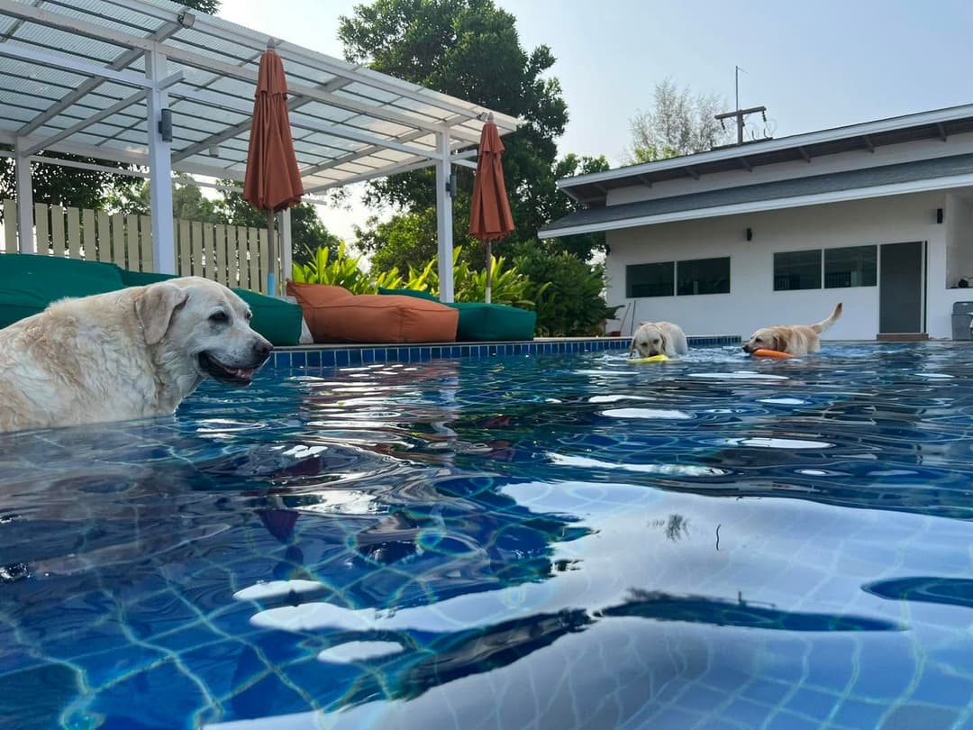 No alternative text provided