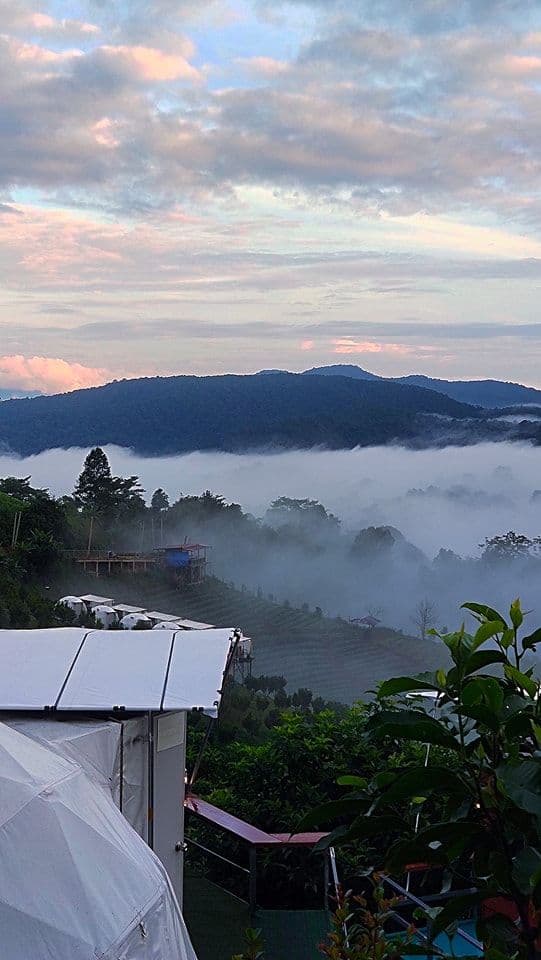 Slide 3
