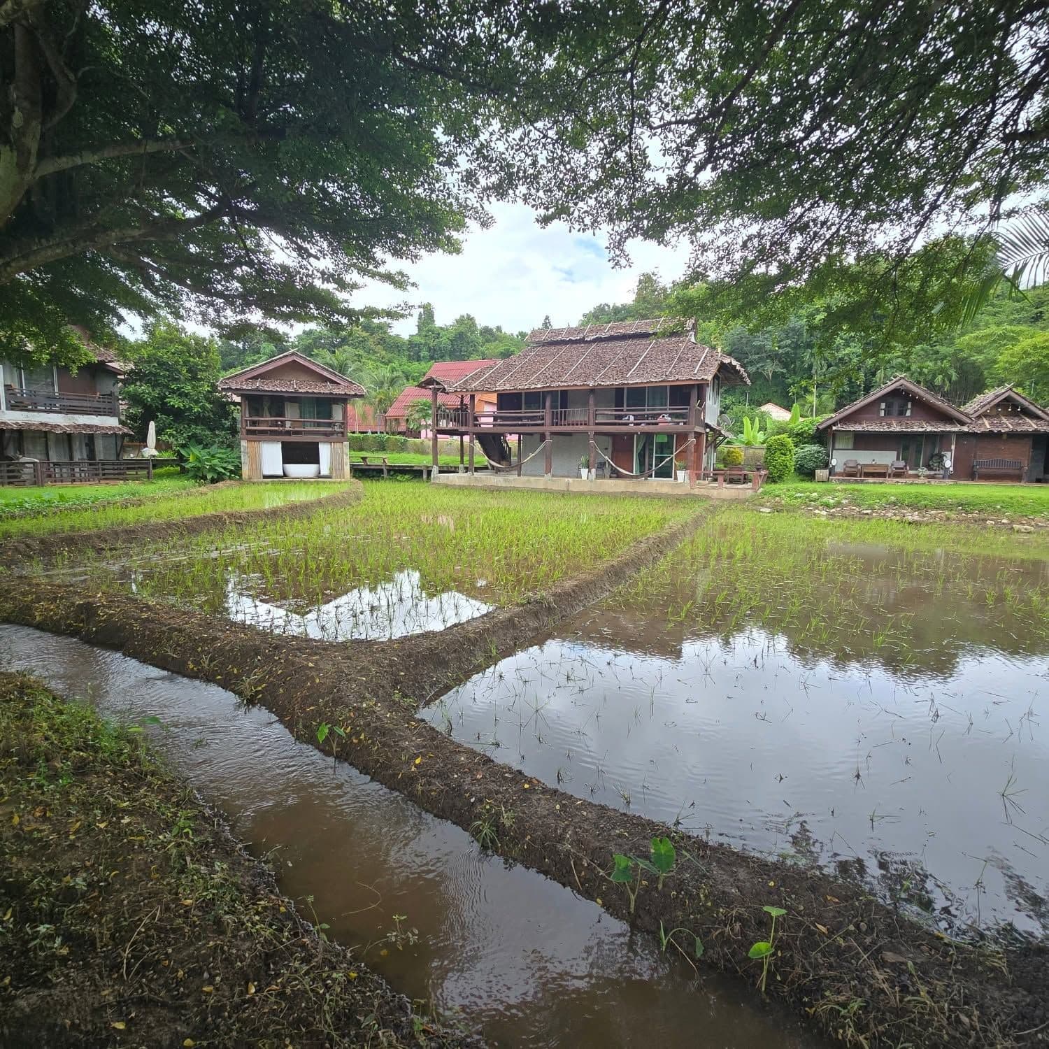 Slide 4