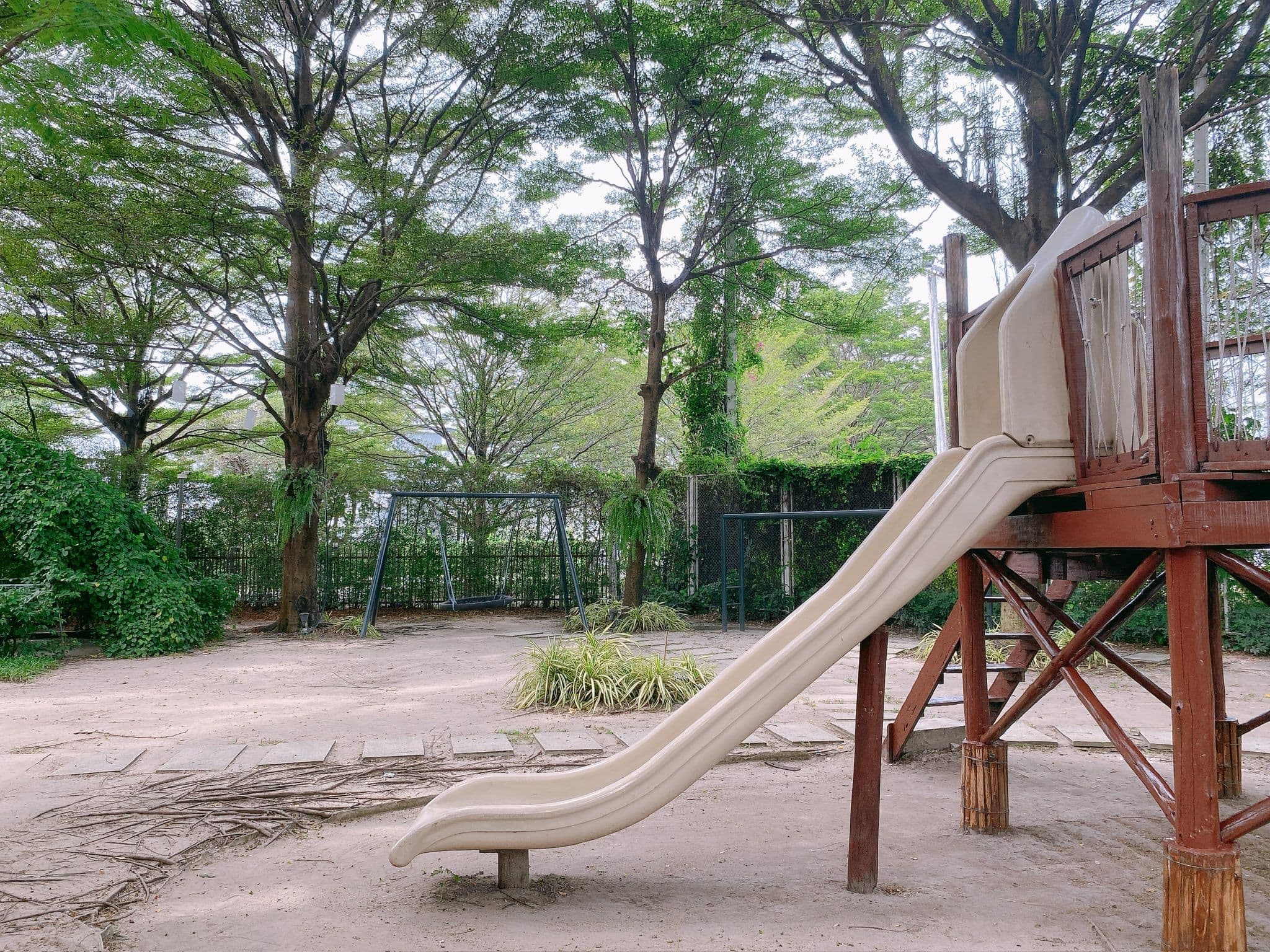 Slide 24