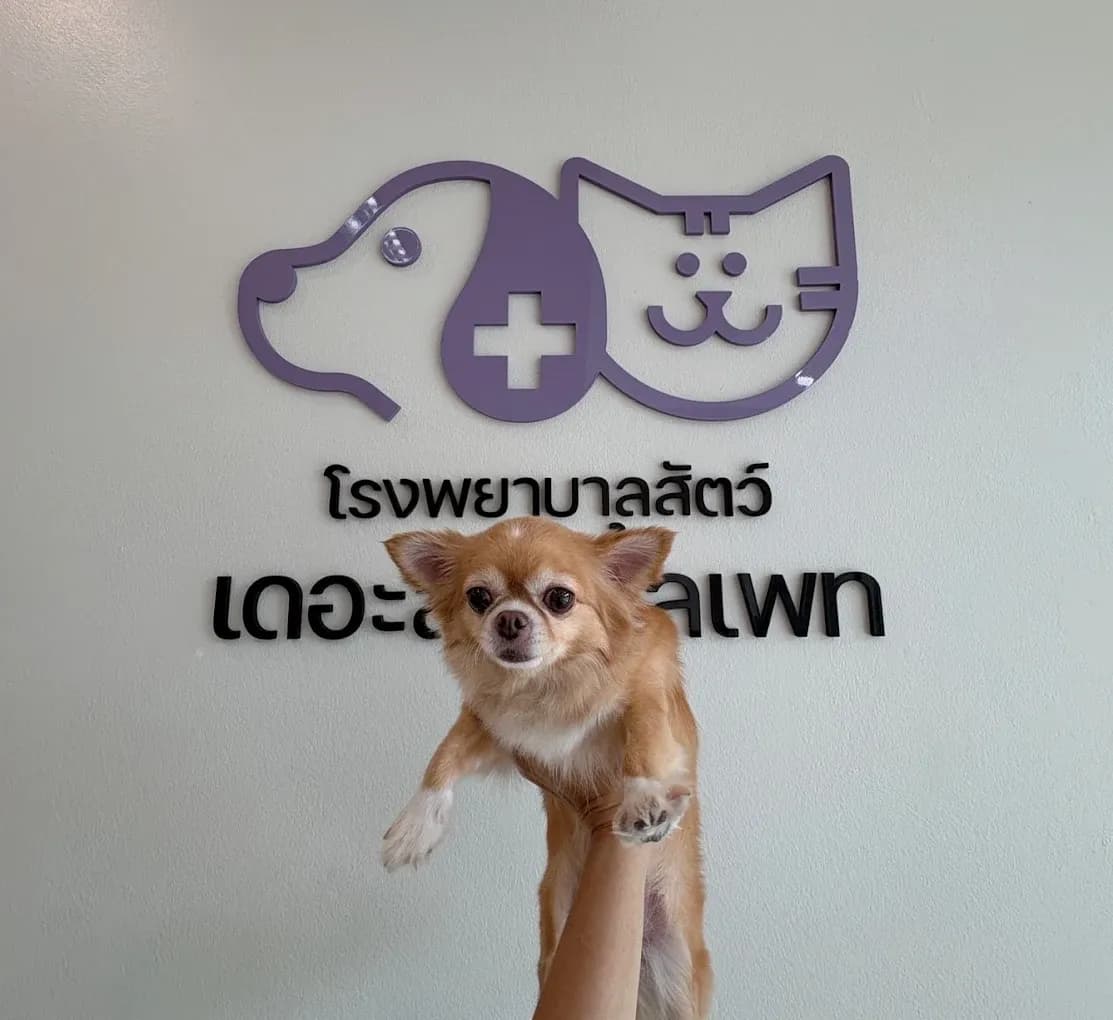 เดอะลิตเติ้ลเพ็ท รักษาสัตว์