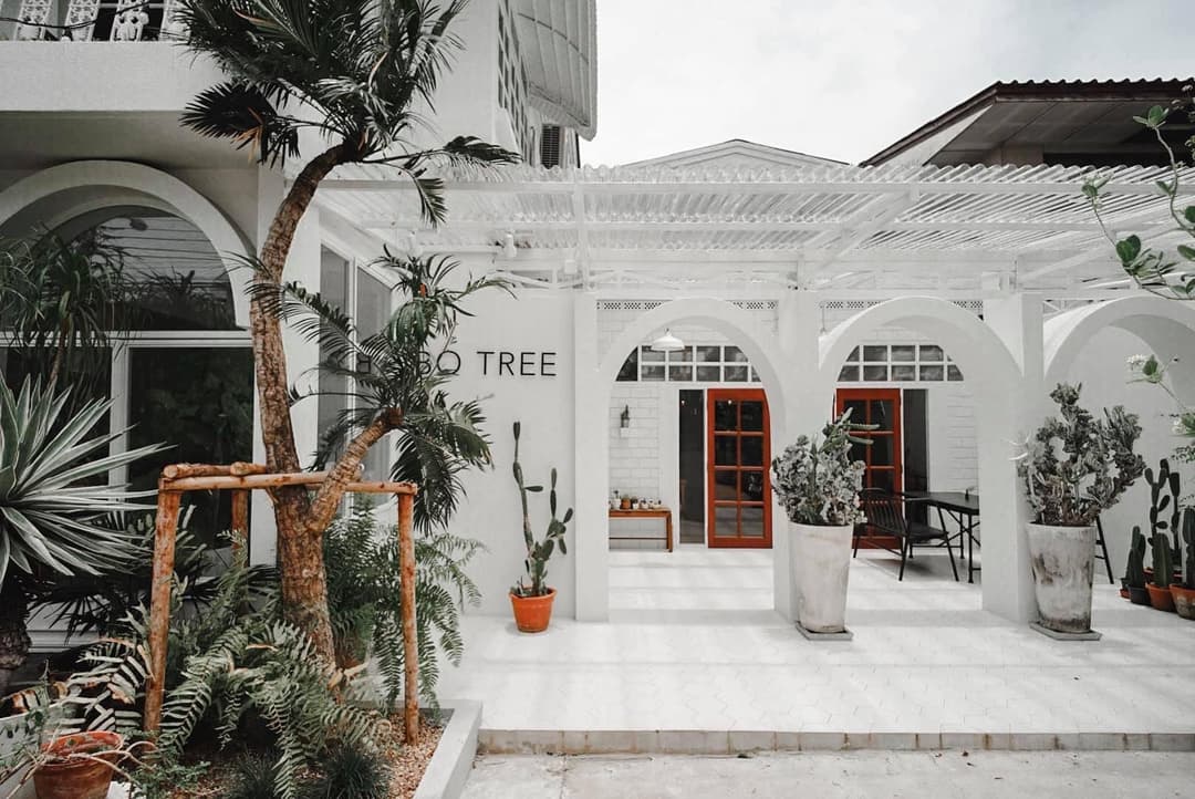โบทรีคาเฟ่ (BO TREE CAFE)