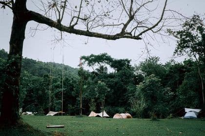 เดอะ บี แคมป์ปิ้ง (The Bee Camping) รูปภาพที่ 20