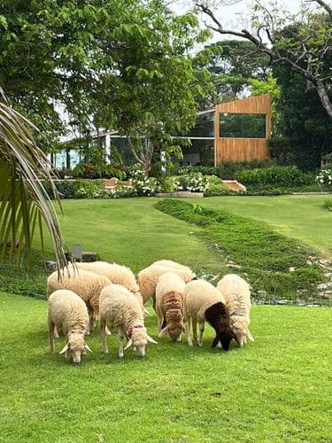 บูคอลเลค เขาใหญ่ (Bucolic Khaoyai) รูปภาพที่ 10