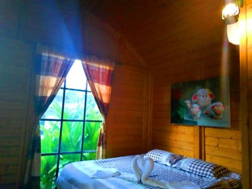 แสงจ้าฟาร์มรีสอร์ท (Saengcha Farm Resort) รูปภาพที่ 10