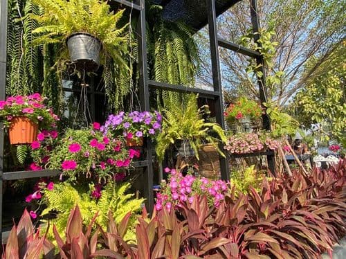 เจมี่ คาเฟ่ (Jamie Café) รูปภาพที่ 6