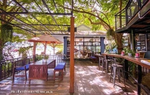 เก็คโค่ การ์เด้นท์ คาเฟ่ (Gecko Garden cafe) รูปภาพที่ 13
