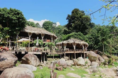 สเตย์ ไวล์ด แอนด์ คาเฟ่ (Stay Wild & Café) รูปภาพที่ 3