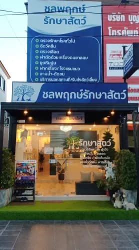ชลพฤกษ์รักษาสัตว์ รูปภาพที่ 3