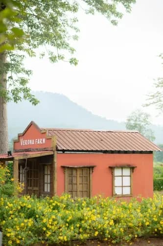 บลิส แอนด์ บลูม คาเฟ่ (Bliss & Bloom Cafe) รูปภาพที่ 9
