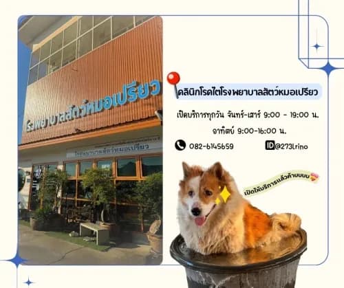 โรงพยาบาลสัตว์หมอเปรียว รูปภาพที่ 3
