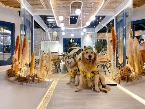 เดอะ ลูน่า บีช เฮาส์ (The Lunar Beach House) รูปภาพที่ 13