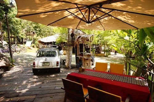 สเตย์ ไวล์ด แอนด์ คาเฟ่ (Stay Wild & Café) รูปภาพที่ 9