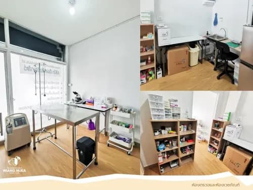คลินิกเวียงเหนือรักษาสัตว์ รูปภาพที่ 2
