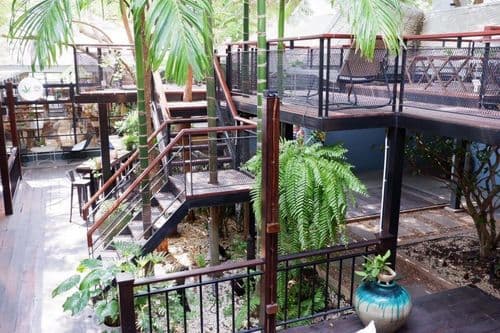 เก็คโค่ การ์เด้นท์ คาเฟ่ (Gecko Garden cafe) รูปภาพที่ 7