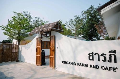 สารภีฟาร์ม แอนด์ คาเฟ่ต์ ลพบุรี (Saraphi Farm and Cafe Lopburi)   รูปภาพที่ 1