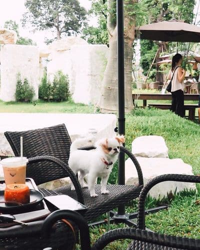 วิทอินเขาใหญ่ (Within Khaoyai) รูปภาพที่ 12