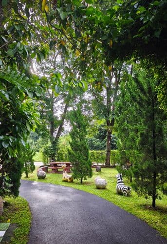 แสงจ้าฟาร์มรีสอร์ท (Saengcha Farm Resort) รูปภาพที่ 19