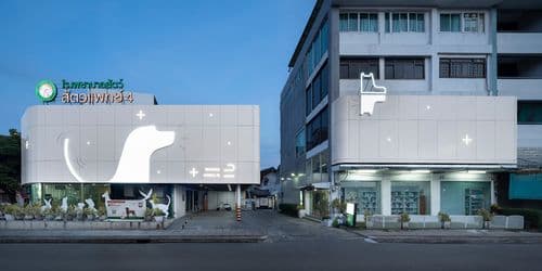 โรงพยาบาลสัตว์ สัตวแพทย์ 4