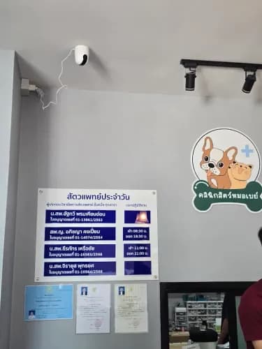 คลินิกสัตว์หมอเบย์ รักษาสัตว์นครสวรรค์ รูปภาพที่ 3