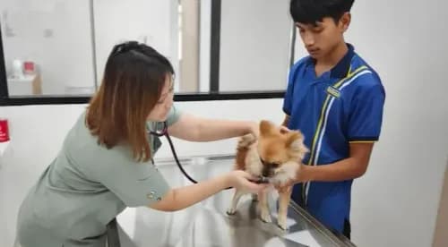คลินิกรักษาสัตว์เพ็ทเมดิก รูปภาพที่ 3