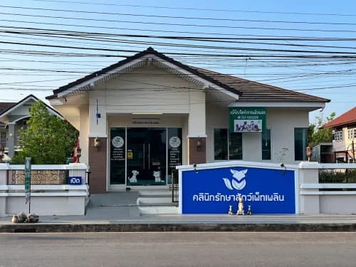 คลินิกรักษาสัตว์เพ็ทเพลิน กาฬสินธุ์