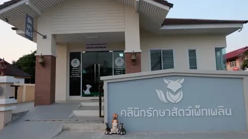 คลินิกรักษาสัตว์เพ็ทเพลิน กาฬสินธุ์ รูปภาพที่ 3