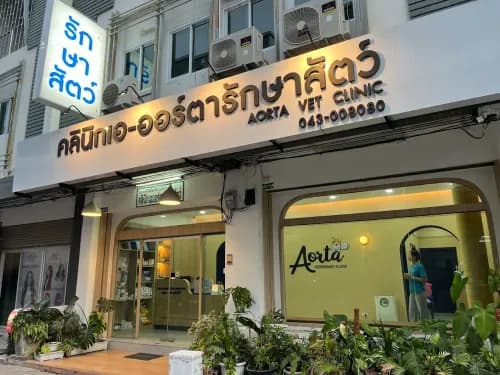 คลินิกเอออร์ตารักษาสัตว์
