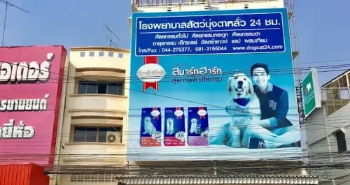 โรงพยาบาลสัตว์บุ่งตาหลั่ว 24ชม. (สาขาพิบูลละเอียด)