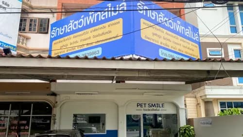 รักษาสัตว์เพ็ทสไมล์ รักษาสัตว์ นครราชสีมา