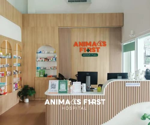 โรงพยาบาลสัตว์แอนนิมอลส์เฟิร์ส เชียงราย (Animals Frist Hospital) รูปภาพที่ 2
