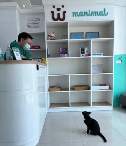 โรงพยาบาลสัตว์แมนนิมอล manimal รูปภาพที่ 2