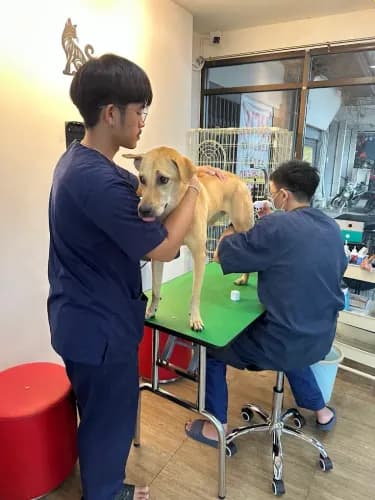 New Hope Pet Care รูปภาพที่ 2