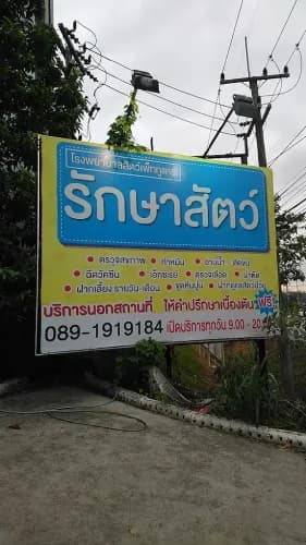 โรงพยาบาลสัตว์เพ็ททูแคร์ รูปภาพที่ 3