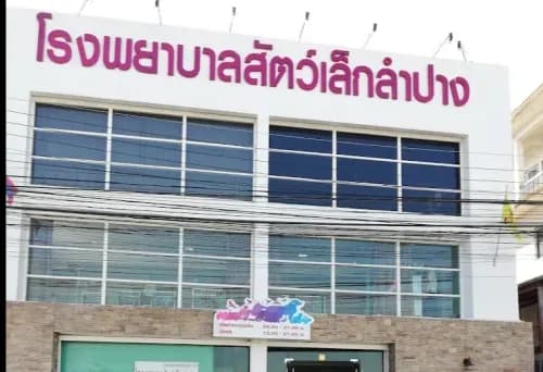 โรงพยาบาลสัตว์เล็กลำปาง (Small Animal Hospital in Lampang) รูปภาพที่ 2