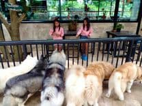 ไอ แอม ไซบีเรียน (I am Siberian)