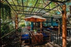 เก็คโค่ การ์เด้นท์ คาเฟ่ (Gecko Garden cafe)