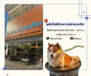 โรงพยาบาลสัตว์หมอเปรียว