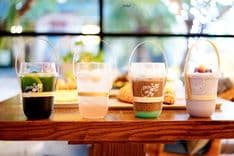 เก็คโค่ การ์เด้นท์ คาเฟ่ (Gecko Garden cafe)