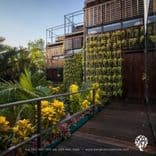 แบงค์คอกทรีเฮ้าส์ (Bangkok Tree House)
