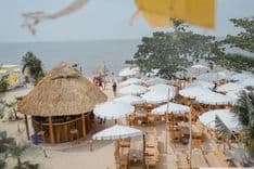ซีฟู๊ดคลับบางแสน (Seafood Clud Bangsaen)