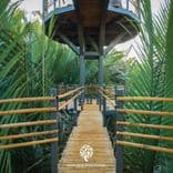 แบงค์คอกทรีเฮ้าส์ (Bangkok Tree House)