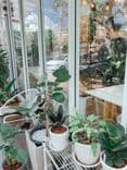 เติร์ดสเปซคาเฟ่คาเฟ่ (Third Space Cafe)