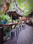 เก็คโค่ การ์เด้นท์ คาเฟ่ (Gecko Garden cafe)