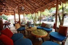 สเตย์ ไวล์ด แอนด์ คาเฟ่ (Stay Wild & Café)
