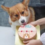 ด็อกเกอรี่คาเฟเพ็ทเดลี่ (Dogkery Cafe Pet Deli)
