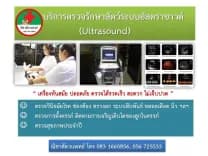 ณิชาสัตวแพทย์