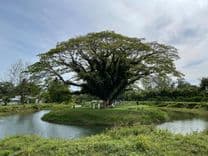 ไทยไลฟ์ โฮมสเตย์ รีสอร์ท แอนด์ สปา (ThaiLife Homestay Resort & Spa)