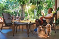 ลิตเติล แพลนท์ คาเฟ่ แอนด์ เวค ปาร์ค (Little Plant Café & Wake Park)