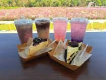 บลิส แอนด์ บลูม คาเฟ่ (Bliss & Bloom Cafe)